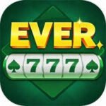 Ever 777 icon