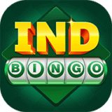 IND Bingo app icon