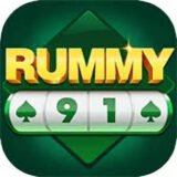 Rummy 91 app icon