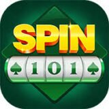 Spin 101 app icon